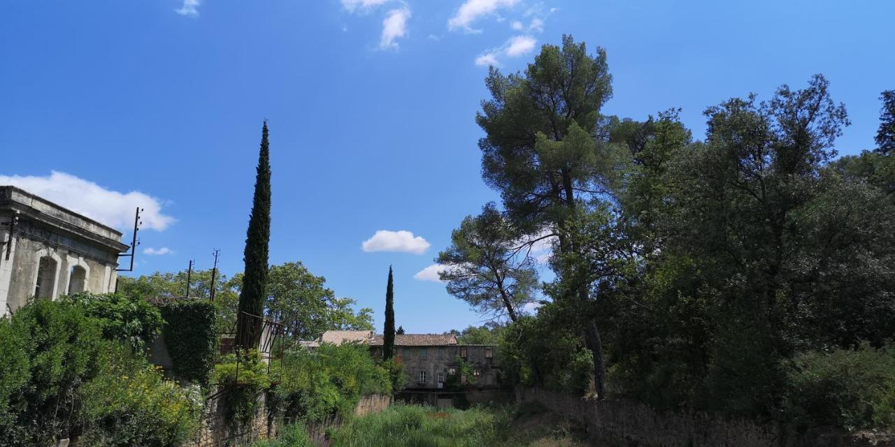 Le Mimosa Saint-Saturnin-de-Lucian