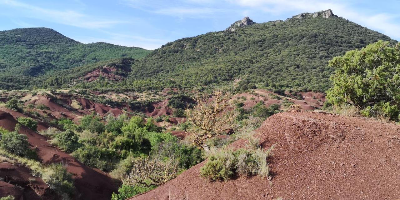 Le Mimosa Saint-Saturnin-de-Lucian