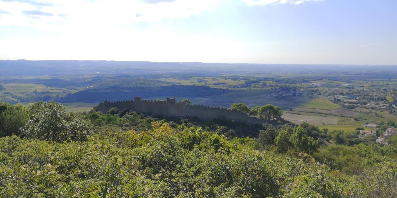 Le Mimosa Saint-Saturnin-de-Lucian