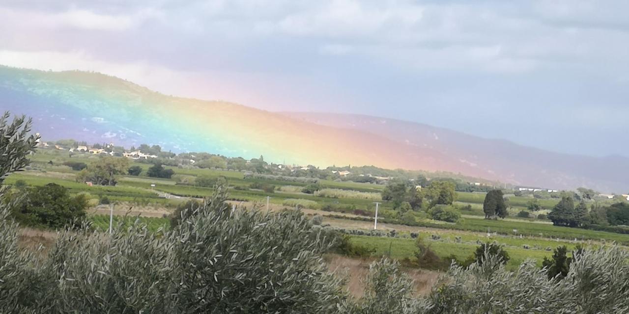 Le Mimosa Saint-Saturnin-de-Lucian
