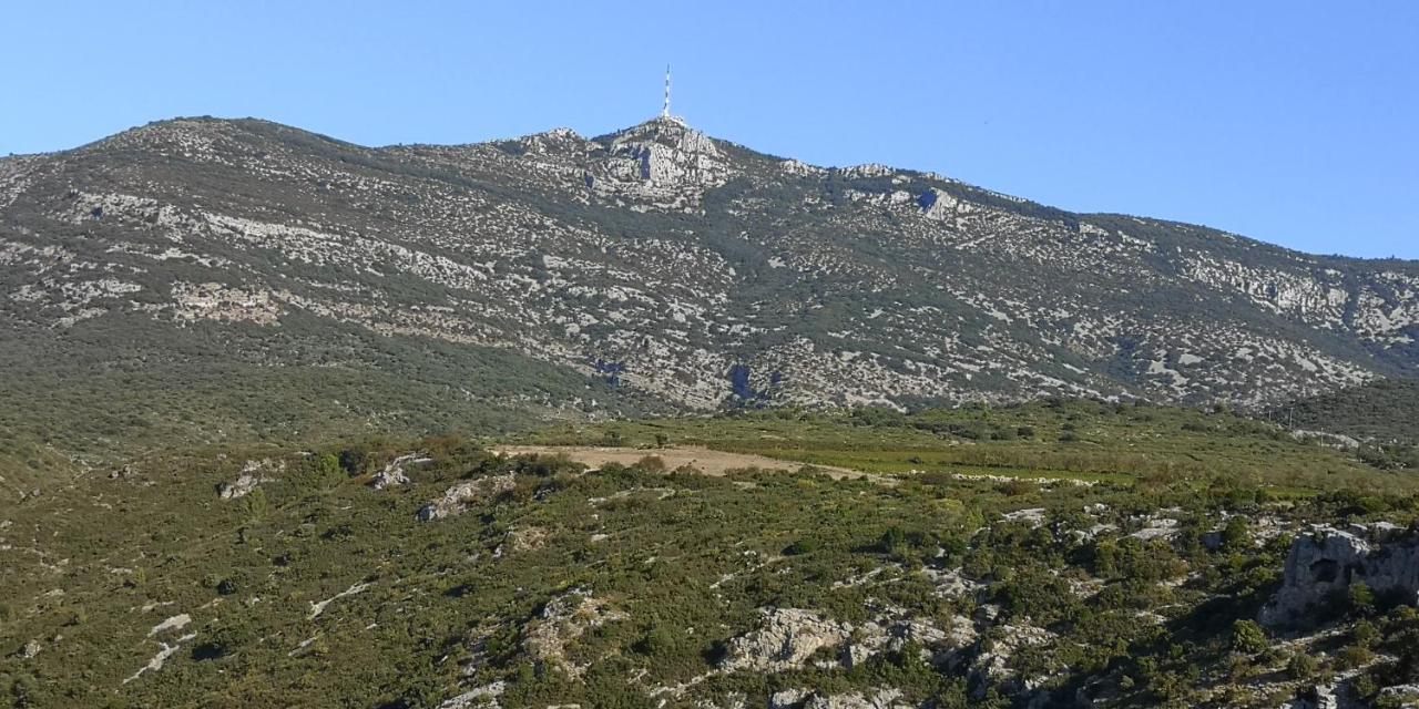 Le Mimosa Saint-Saturnin-de-Lucian