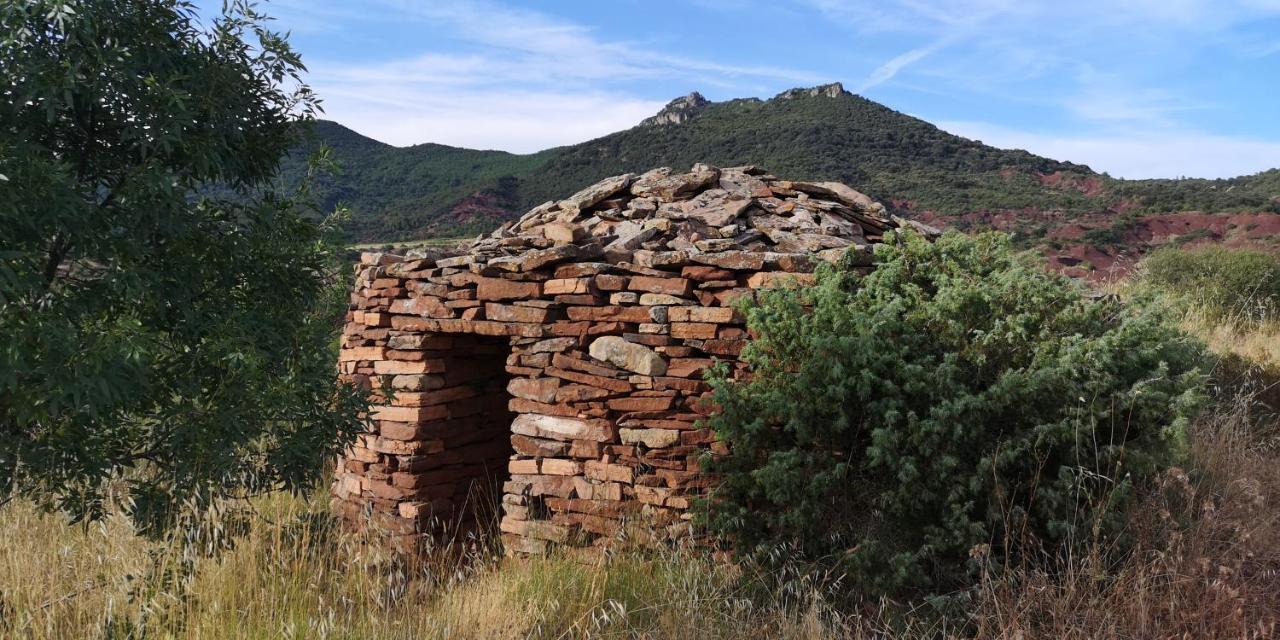 Le Mimosa Saint-Saturnin-de-Lucian