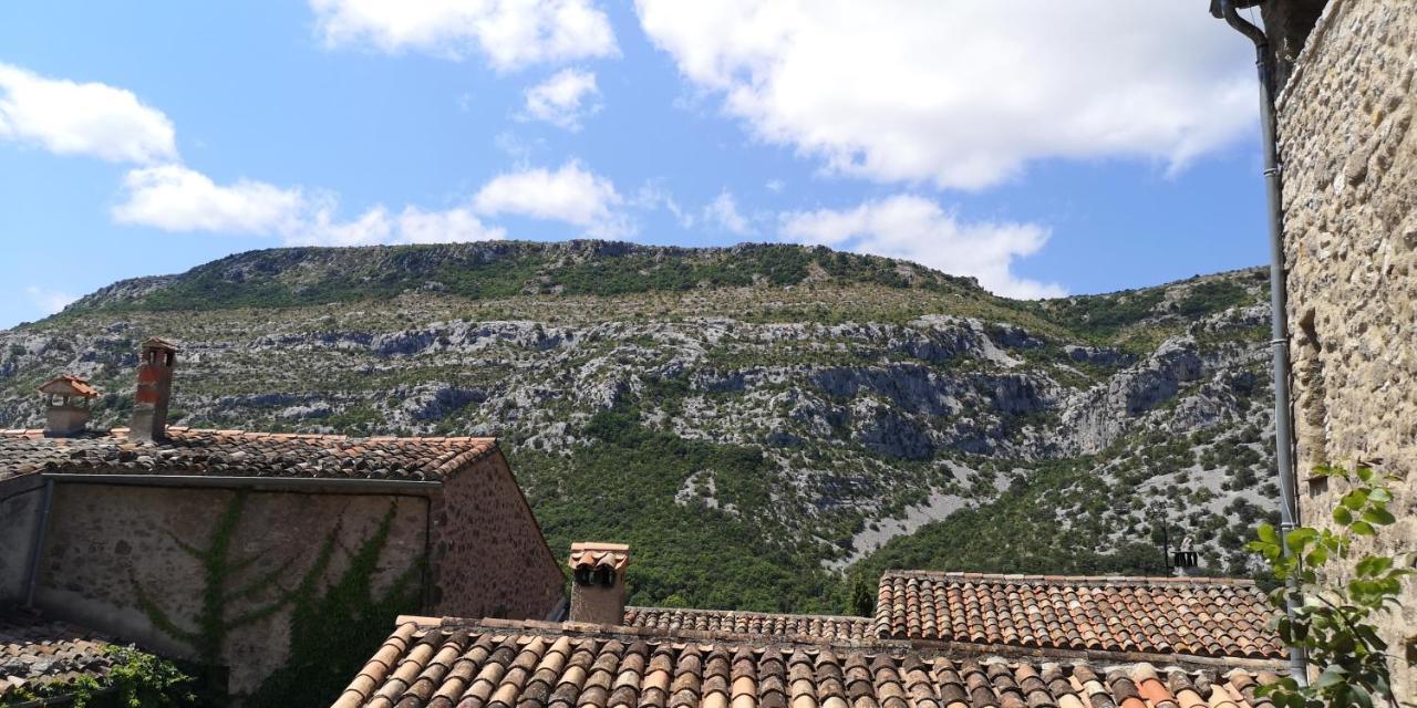 Le Mimosa Bed & Breakfast Saint-Saturnin-de-Lucian